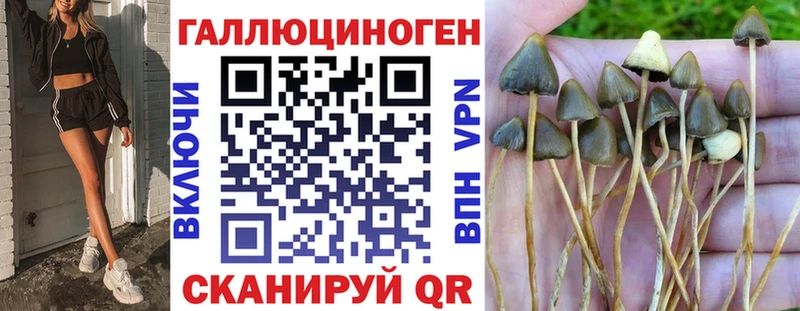 где купить наркоту  Медынь  Псилоцибиновые грибы GOLDEN TEACHER 